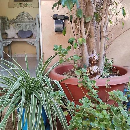 Cool Garden And * Mairena del Aljarafe