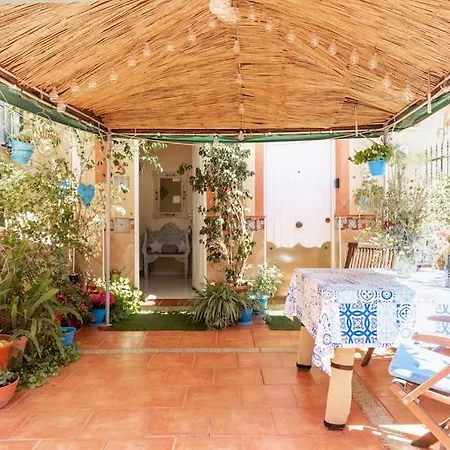 Cool Garden And *